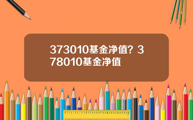 373010基金净值？378010基金净值