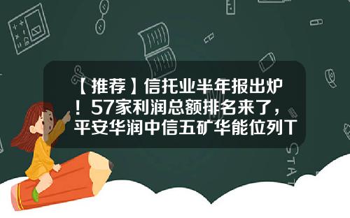 【推荐】信托业半年报出炉！57家利润总额排名来了，平安华润中信五矿华能位列TOP5-信托公司净利润排名