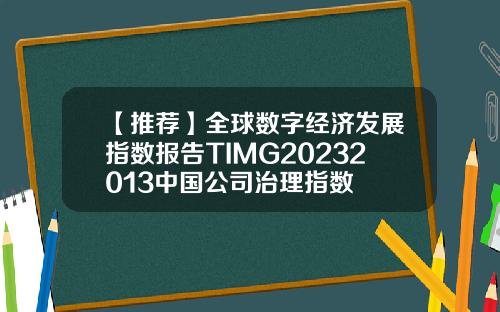 【推荐】全球数字经济发展指数报告TIMG20232013中国公司治理指数