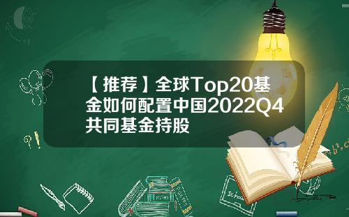 【推荐】全球Top20基金如何配置中国2022Q4共同基金持股