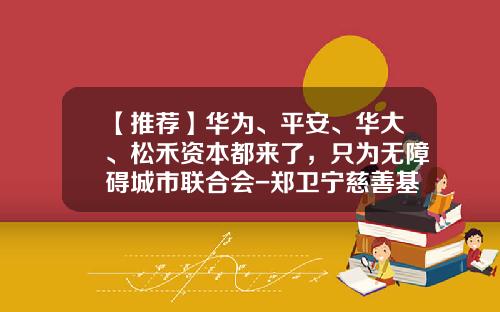 【推荐】华为、平安、华大、松禾资本都来了，只为无障碍城市联合会-郑卫宁慈善基金会