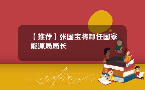 【推荐】张国宝将卸任国家能源局局长