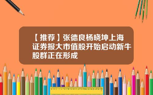 【推荐】张德良杨晓坤上海证券报大市值股开始启动新牛股群正在形成