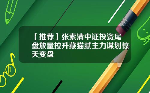 【推荐】张索清中证投资尾盘放量拉升藏猫腻主力谋划惊天变盘