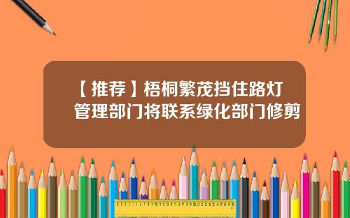 【推荐】梧桐繁茂挡住路灯管理部门将联系绿化部门修剪