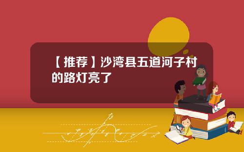 【推荐】沙湾县五道河子村的路灯亮了