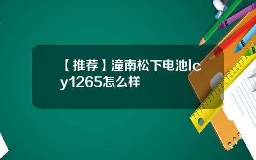 【推荐】潼南松下电池lcy1265怎么样