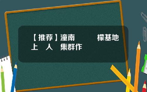 【推荐】潼南萬畝檸檬基地上無人機集群作業
