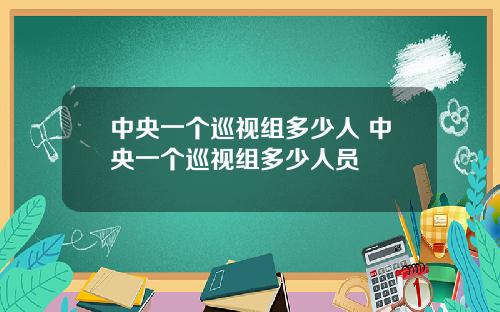 中央一个巡视组多少人 中央一个巡视组多少人员