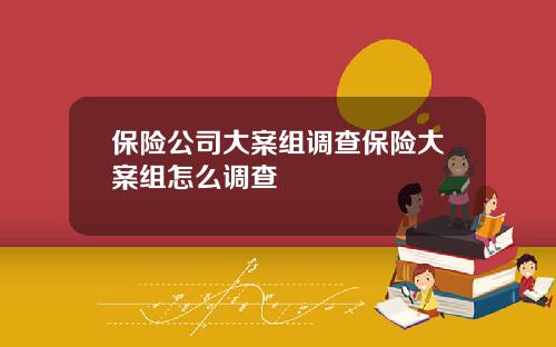 保险公司大案组调查保险大案组怎么调查