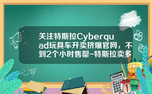 关注特斯拉Cyberquad玩具车开卖挤爆官网，不到2个小时售罄-特斯拉卖多少钱【新闻】.