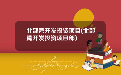 北部湾开发投资项目(北部湾开发投资项目部)