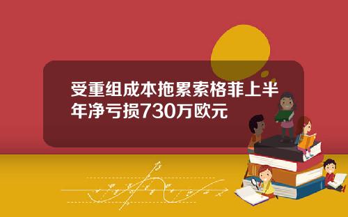 受重组成本拖累索格菲上半年净亏损730万欧元
