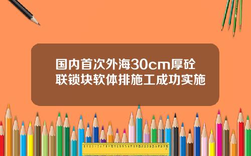 国内首次外海30cm厚砼联锁块软体排施工成功实施