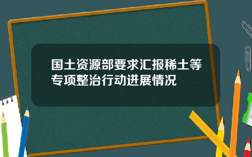 国土资源部要求汇报稀土等专项整治行动进展情况