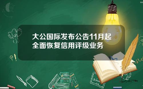 大公国际发布公告11月起全面恢复信用评级业务