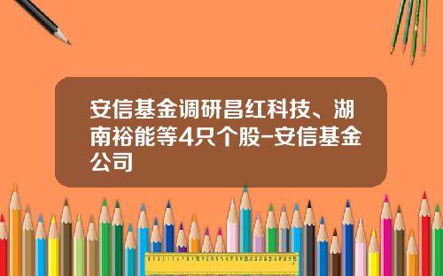 安信基金调研昌红科技、湖南裕能等4只个股-安信基金公司