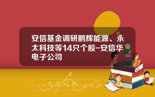 安信基金调研鹏辉能源、永太科技等14只个股-安信华电子公司