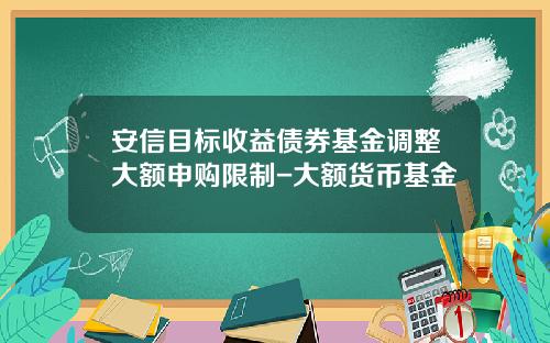 安信目标收益债券基金调整大额申购限制-大额货币基金