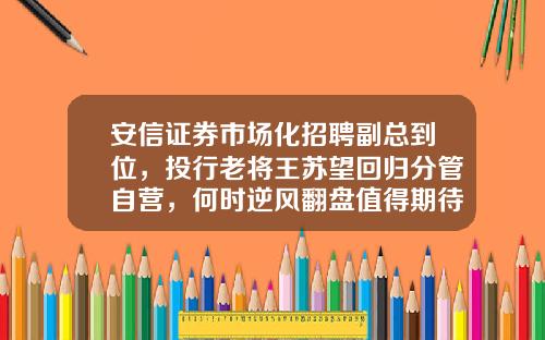 安信证券市场化招聘副总到位，投行老将王苏望回归分管自营，何时逆风翻盘值得期待-基金公司投行部