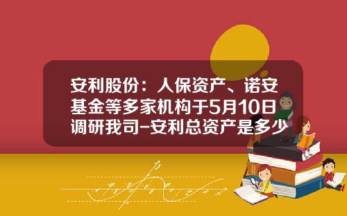 安利股份：人保资产、诺安基金等多家机构于5月10日调研我司-安利总资产是多少