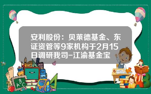 安利股份：贝莱德基金、东证资管等9家机构于2月15日调研我司-江渝基金宝