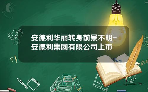 安德利华丽转身前景不明-安德利集团有限公司上市