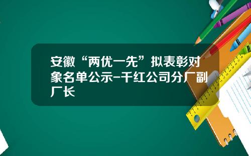 安徽“两优一先”拟表彰对象名单公示-千红公司分厂副厂长