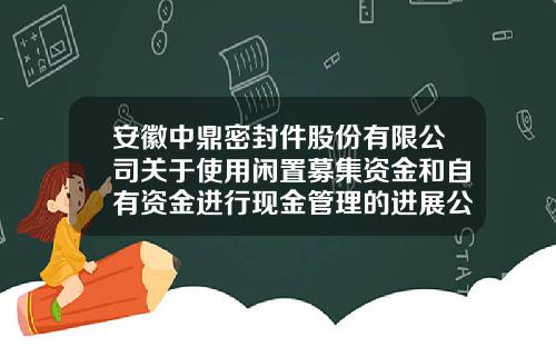 安徽中鼎密封件股份有限公司关于使用闲置募集资金和自有资金进行现金管理的进展公告（36）-中鼎密封件股份有限公司