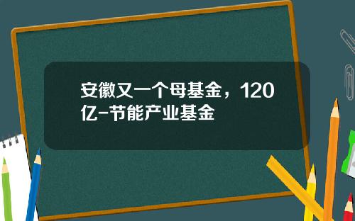 安徽又一个母基金，120亿-节能产业基金