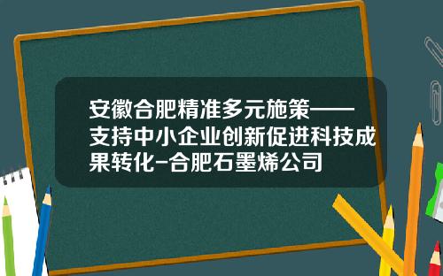 安徽合肥精准多元施策——支持中小企业创新促进科技成果转化-合肥石墨烯公司