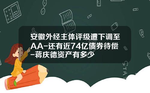 安徽外经主体评级遭下调至AA-还有近74亿债券待偿-蒋庆德资产有多少
