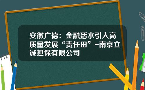 安徽广德：金融活水引入高质量发展“责任田”-南京立诚担保有限公司