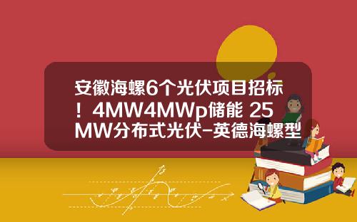 安徽海螺6个光伏项目招标！4MW4MWp储能+25MW分布式光伏-英德海螺型材有限责任公司