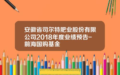 安徽省司尔特肥业股份有限公司2018年度业绩预告-前海国购基金