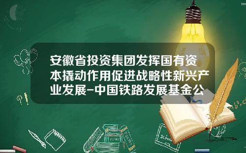 安徽省投资集团发挥国有资本撬动作用促进战略性新兴产业发展-中国铁路发展基金公司