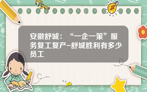 安徽舒城：“一企一策”服务复工复产-舒城胜利有多少员工