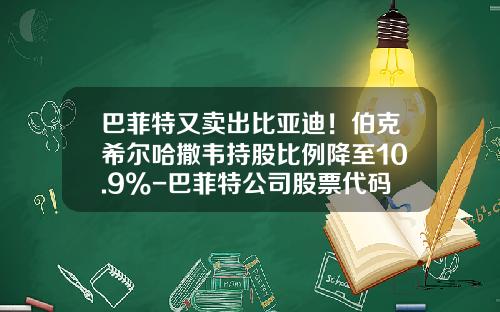 巴菲特又卖出比亚迪！伯克希尔哈撒韦持股比例降至10.9%-巴菲特公司股票代码