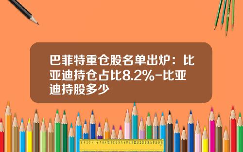 巴菲特重仓股名单出炉：比亚迪持仓占比8.2%-比亚迪持股多少