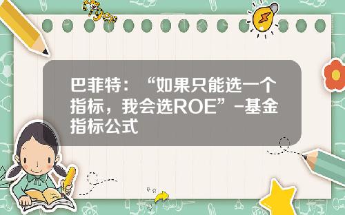 巴菲特：“如果只能选一个指标，我会选ROE”-基金指标公式