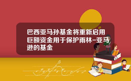 巴西亚马孙基金将重新启用巨额资金用于保护雨林-亚马逊的基金