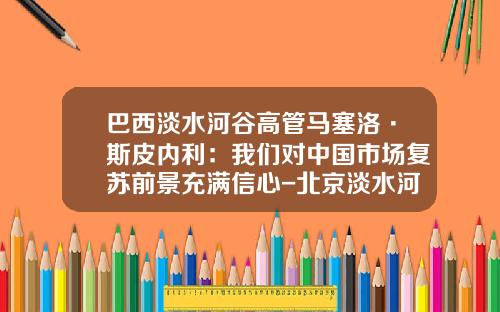 巴西淡水河谷高管马塞洛·斯皮内利：我们对中国市场复苏前景充满信心-北京淡水河谷模型设计有限公司