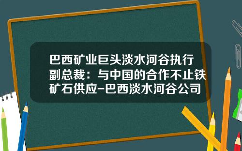 巴西矿业巨头淡水河谷执行副总裁：与中国的合作不止铁矿石供应-巴西淡水河谷公司