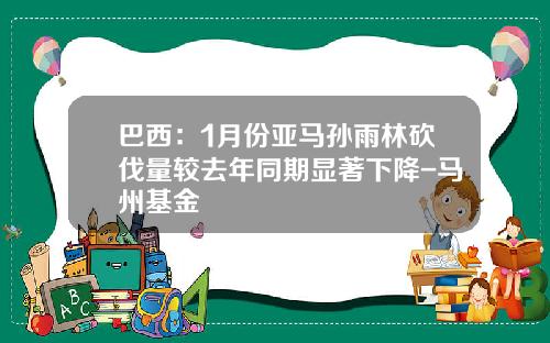 巴西：1月份亚马孙雨林砍伐量较去年同期显著下降-马州基金