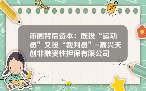 币圈背后资本：既投“运动员”又投“裁判员”-嘉兴天创非融资性担保有限公司
