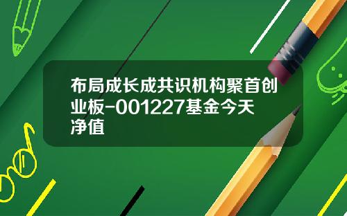 布局成长成共识机构聚首创业板-001227基金今天净值