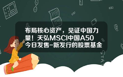 布局核心资产，见证中国力量！天弘MSCI中国A50今日发售-新发行的股票基金
