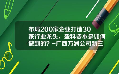 布局200家企业打造30家行业龙头，盈科资本是如何做到的？-广西万润公司新三板