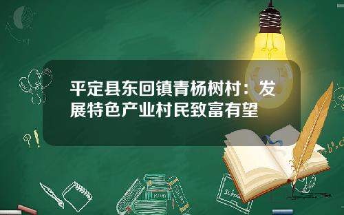 平定县东回镇青杨树村：发展特色产业村民致富有望