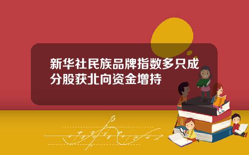 新华社民族品牌指数多只成分股获北向资金增持